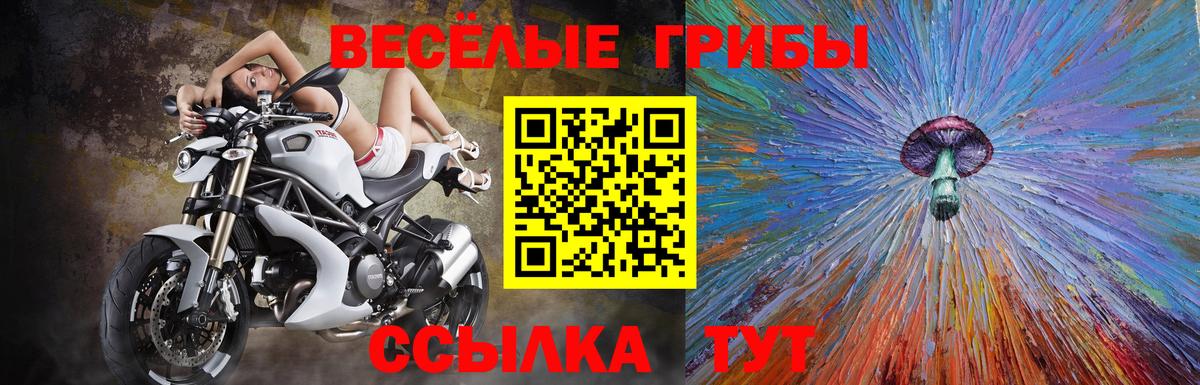 Галлюциногенные грибы MAGIC MUSHROOMS  Вход с VPN  Канск 